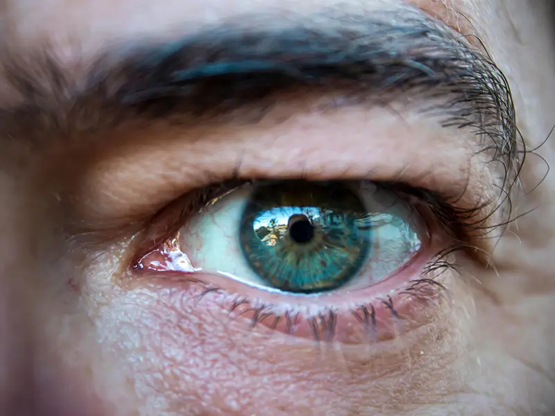 The Brain’s Hidden Filters